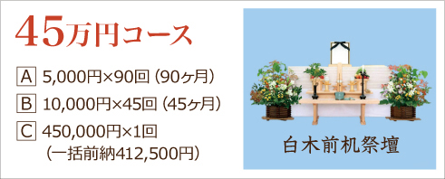 45万円コース