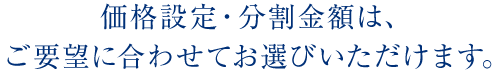 価格設定・分割金額は、ご要望に合わせてお選びいただけます。