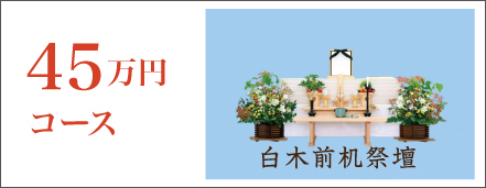 45万円コース