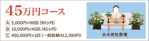 45万円コース