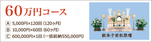 60万円コース