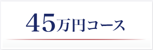 45万円コース