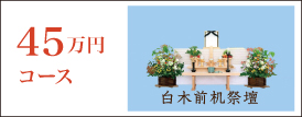45万円コース