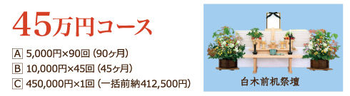 45万円コース