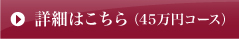 45万円コース